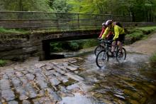 Hamsterley Forest © NPAP/Louise Taylor