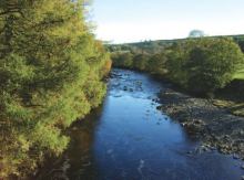 River Tees © NPAP River Tees © NPAP
