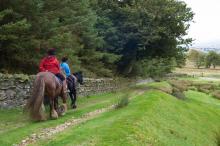 Hamsterley Packhorse Trail © NPAP/Charlie Hedley Hamsterley Packhorse Trail © NPAP/Charlie Hedley