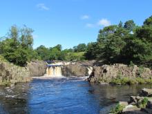 Low Force in Teesdale © NPAP/Simon Wilson Low Force in Teesdale © NPAP/Simon Wilson