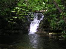 Slitt Wood waterfall © NPAP/Elizabeth Pickett Slitt Wood waterfall © NPAP/Elizabeth Pickett