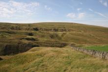 Smallburns Moor in the West Allen Valley © NPAP/Shane Harris Smallburns Moor in the West Allen Valley © NPAP/Shane Harris