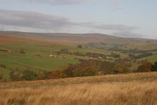 South Tyne Valley © NPAP/Shane Harris South Tyne Valley © NPAP/Shane Harris