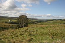 Nent Valley © NPAP/Shane Harris Nent Valley © NPAP/Shane Harris