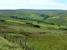 West Allen Valley © NPAP/Andy Lees West Allen Valley © NPAP/Andy Lees
