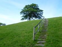 Path to the hay meadows in Ireshopeburn © NPAP/Gearoid Murphy Path to the hay meadows in Ireshopeburn © NPAP/Gearoid Murphy