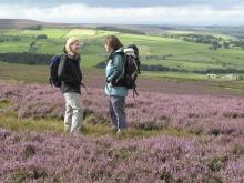 Walkers on the heather moors © NPAP/Shane Harris Walkers on the heather moors © NPAP/Shane Harris