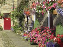 Blanchland in bloom © NPAP/Shane Harris Blanchland in bloom © NPAP/Shane Harris