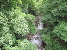 River East Allen © NPAP/Shane Harris River East Allen © NPAP/Shane Harris