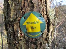 Weardale Way marker © NPAP/Gearoid Murphy Weardale Way marker © NPAP/Gearoid Murphy