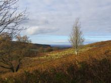 View down the River Gelt Valley © NPAP/Gearoid Murphy View down the River Gelt Valley © NPAP/Gearoid Murphy