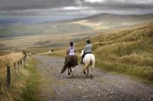 Sinderhope Pony Trekking © NPAP/Charlie Headley Sinderhope Pony Trekking © NPAP/Charlie Headley