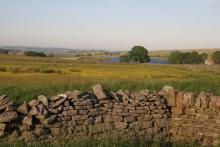 Hannah's Meadow © NPAP/Shane Harris Hannah's Meadow © NPAP/Shane Harris