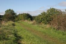 Tees Railway path © NPAP/Shane Harris Tees Railway path © NPAP/Shane Harris